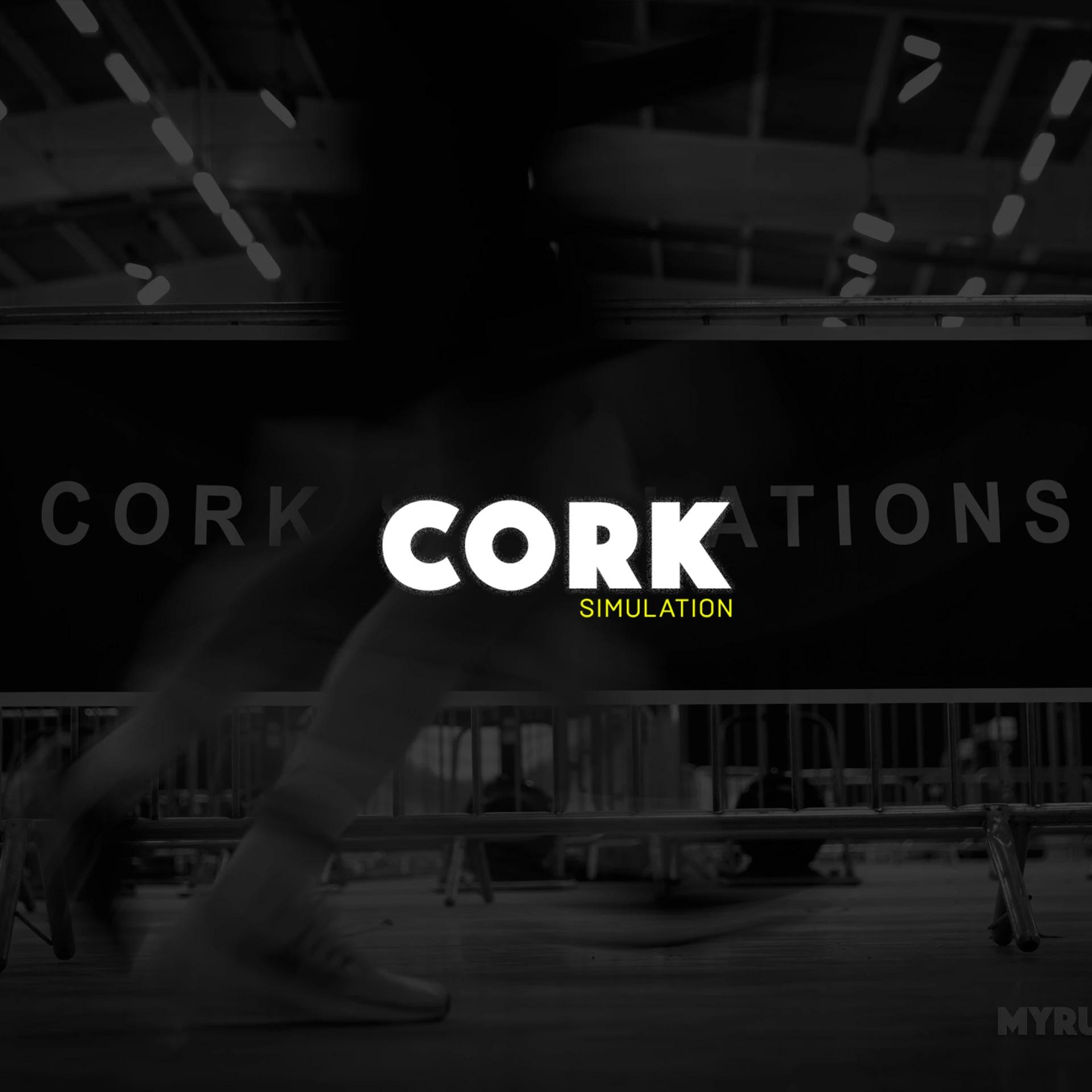 Hyrox Cork Millstreet March 2026